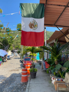residency in Puerto Vallarta